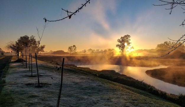 foto de grama com geada para ilustrar sensação térmica negativa no Paraná