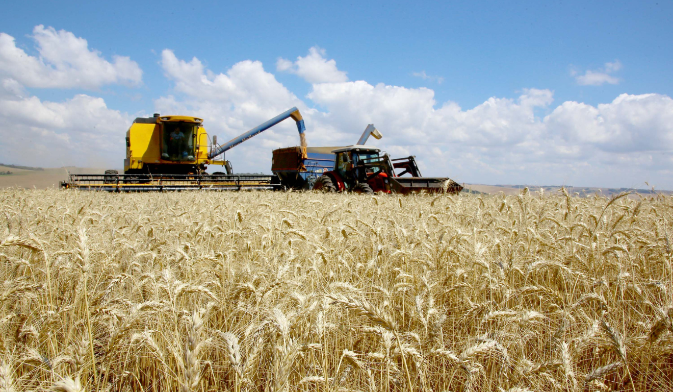 plantação de soja no paraná