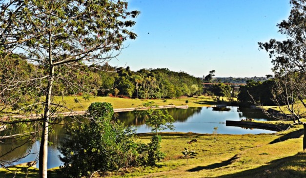 foto do jardim botânico de Londrina para ilustrar a previsão do tempo no Paraná