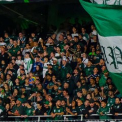 Torcida do Coritiba no Couto Pereira.