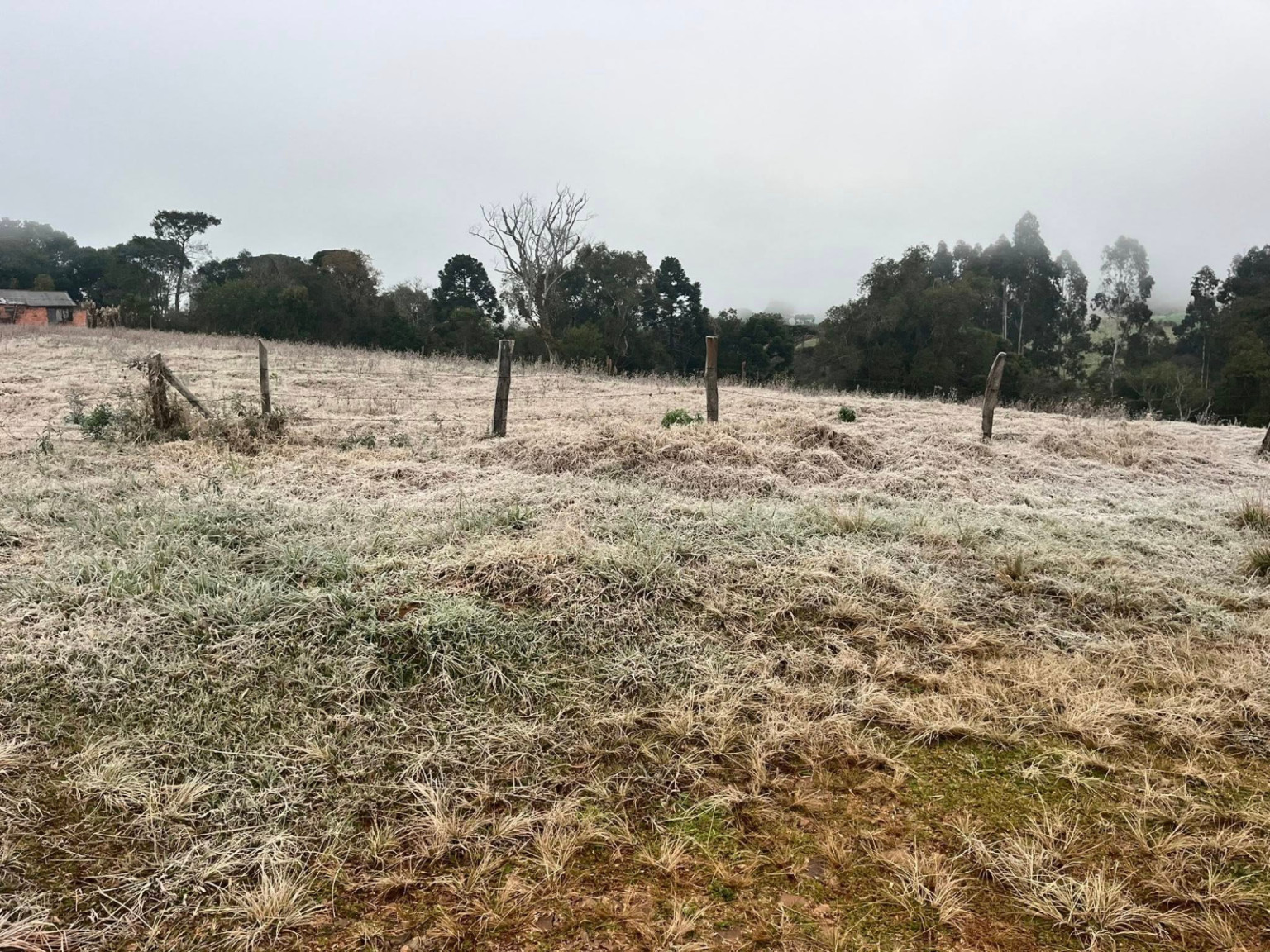 Geada no Paraná; temperatura negativa em General Carneiro provocou o fenômeno. Geada no Paraná; temperatura negativa em General Carneiro provocou o fenômeno.