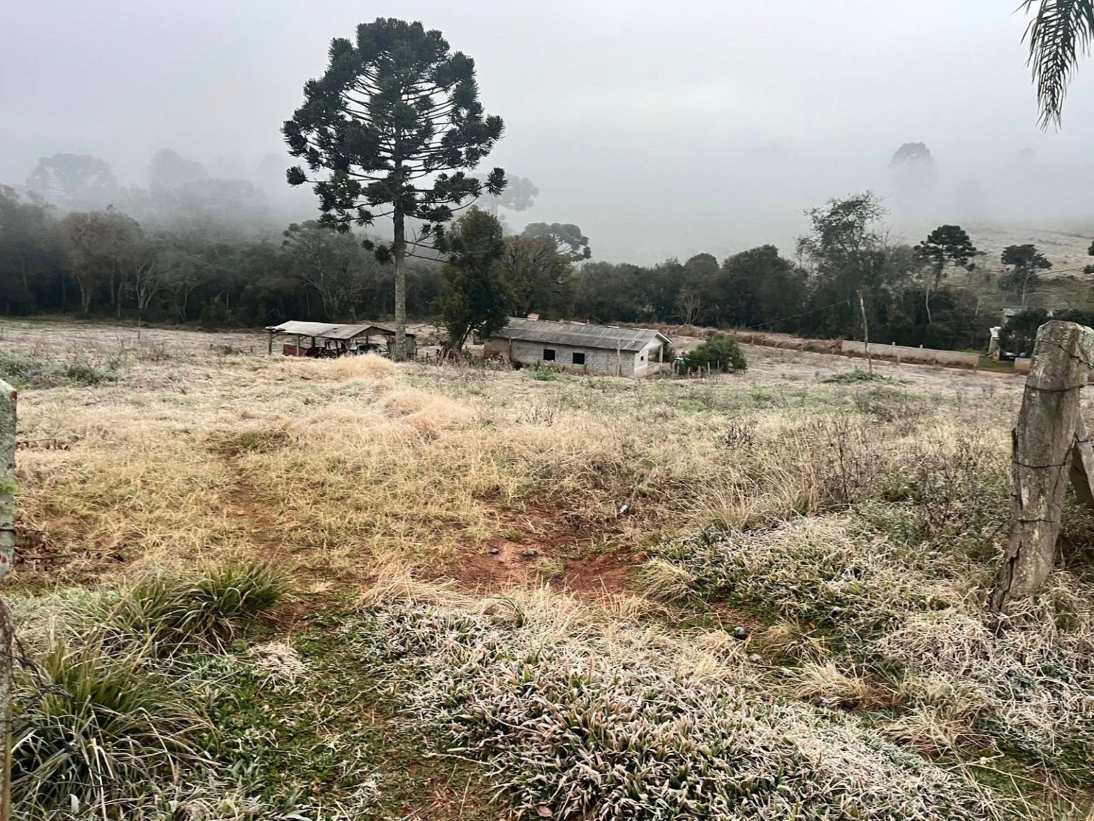 Geada no Paraná; temperatura negativa em General Carneiro provocou o fenômeno. Geada no Paraná; temperatura negativa em General Carneiro provocou o fenômeno.