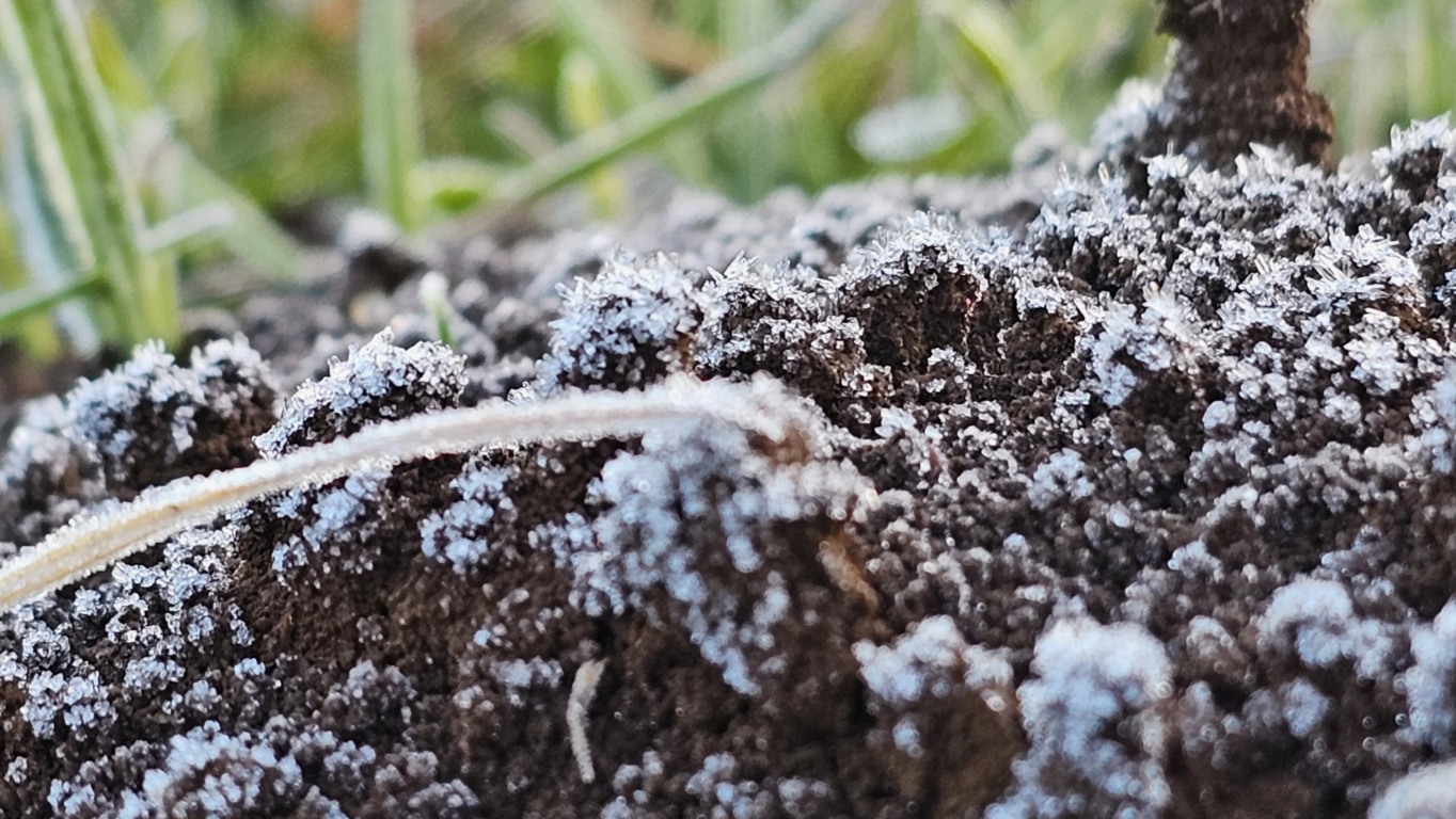 Geada no Paraná; temperatura negativa em General Carneiro provocou o fenômeno. Geada no Paraná; temperatura negativa em General Carneiro provocou o fenômeno.