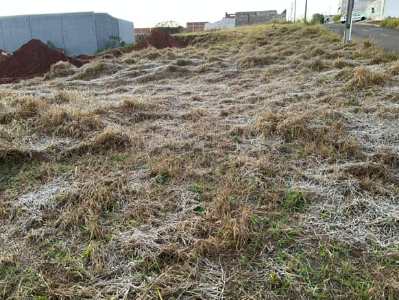 Geada no Paraná; temperatura negativa em General Carneiro provocou o fenômeno. Geada no Paraná; temperatura negativa em General Carneiro provocou o fenômeno.