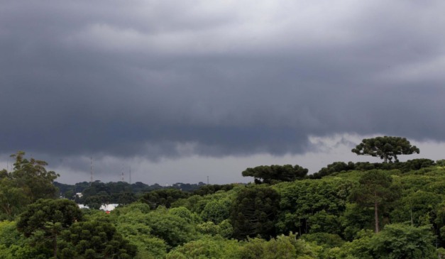 Araucárias e tempo fechado ao fundo; Paraná terá sol e chuva nesta sexta (15)