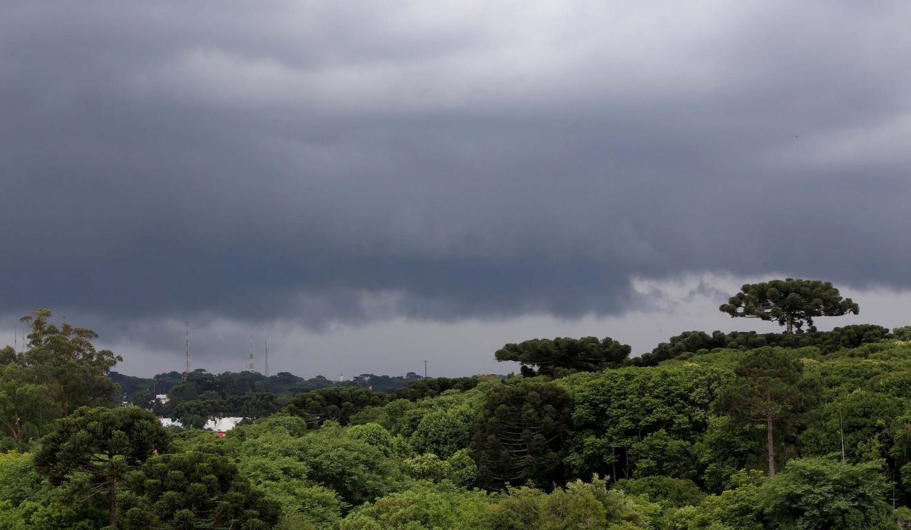 Araucárias e tempo fechado ao fundo; Paraná terá sol e chuva nesta sexta (15)