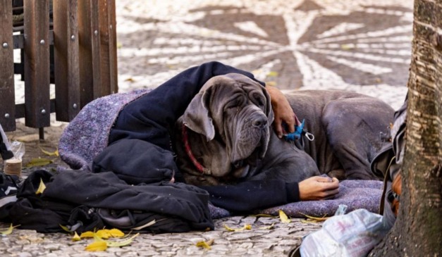 Pessoa em situação de rua com cachorro; projeto em Londrina prevê internação compulsória dessas pessoas