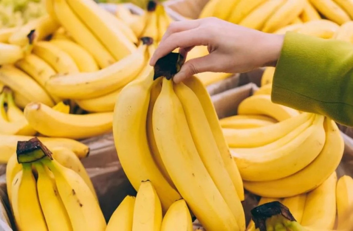 Mudanças climáticas decretam o fim das bananas