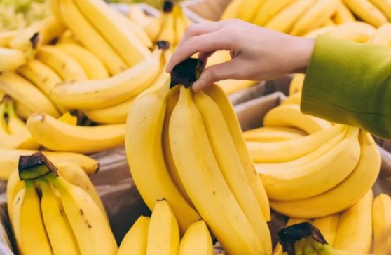 Mudanças climáticas decretam o fim das bananas