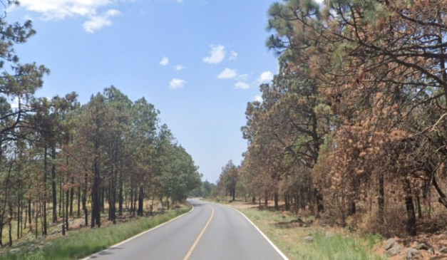 Rodovia em que cabeças humanas foram encontradas