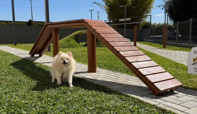 espaço pet do jockey plaza shopping