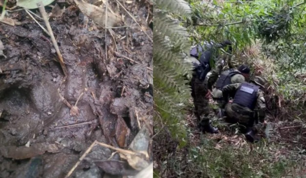 Marcas da onça em Campo Largo