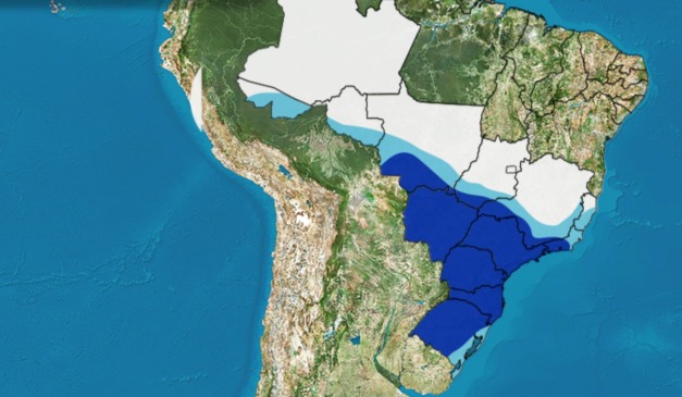 Sudeste e Centro-Oeste e provoca friagem entre Acre e Rondônia no Norte do Brasil, classificando a 5ª onda de frio no país