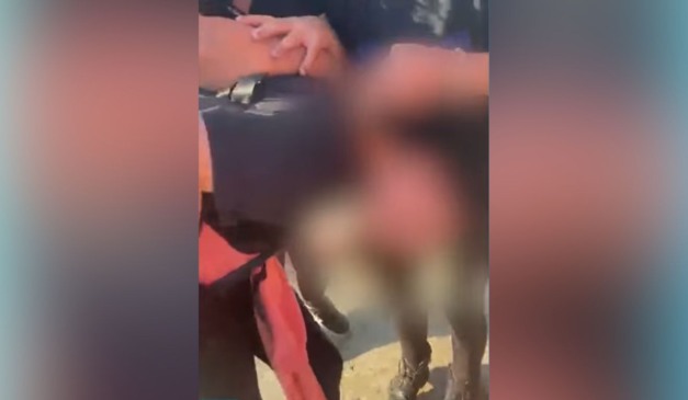 Adolescente sendo agredida com socos por colega em escola no Paraná