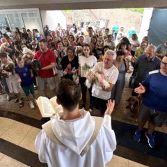 Festa São Franscisco.