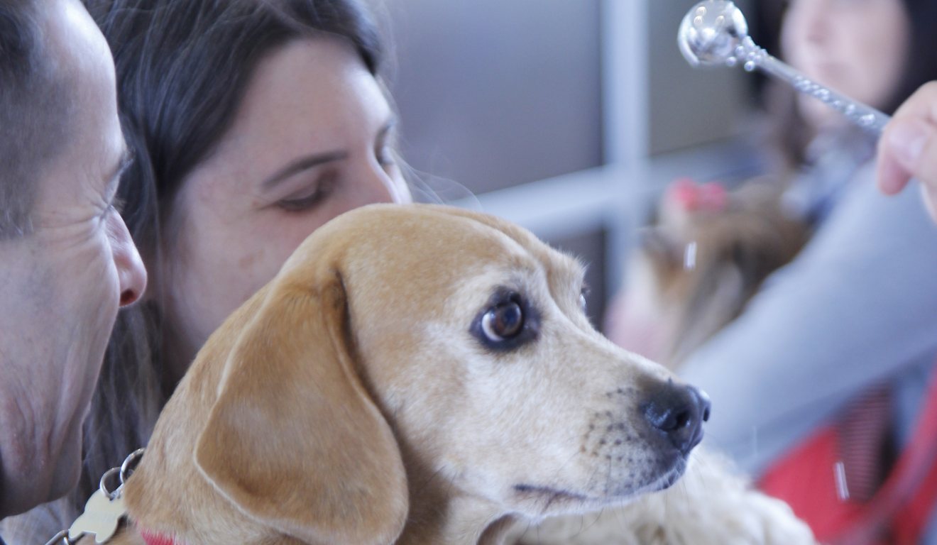 Festa São Franscisco. 