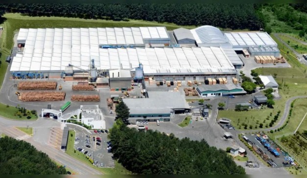 Braspine, indústria florestalparanaense que demitiu funcionários devido a 'tarifaço' dos EUA