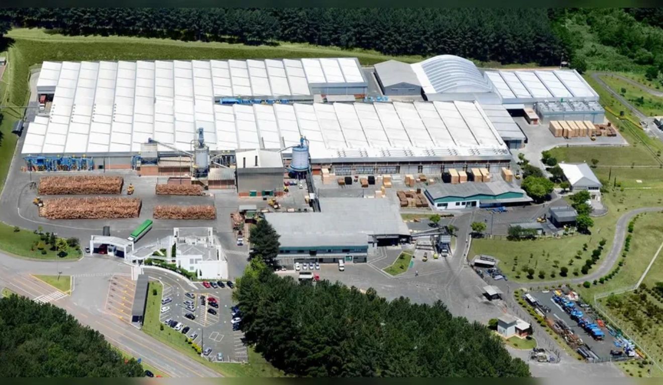 Braspine, indústria florestalparanaense que demitiu funcionários devido a 'tarifaço' dos EUA