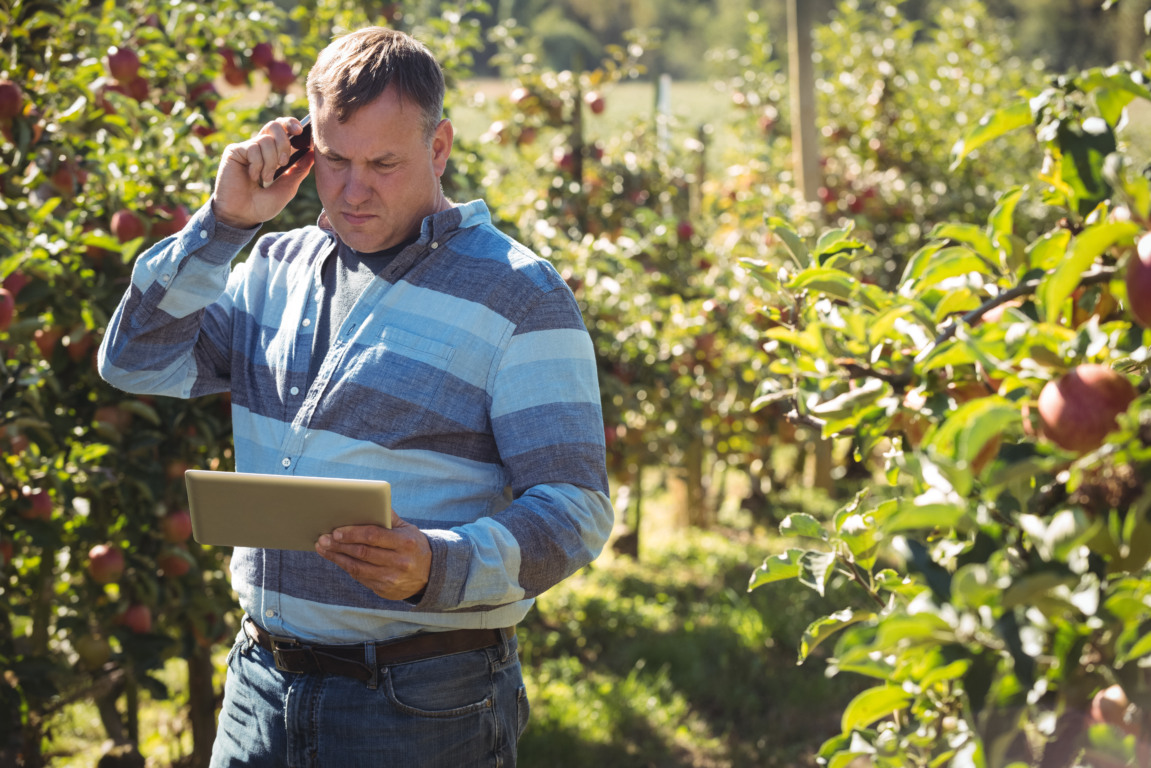 Produtor rural no pomar de maçãs, utilizando tablet e celular para a gestão do negócio, simbolizando a complexidade e a busca por soluções no agronegócio moderno.