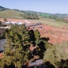 Festival da Velocidade.