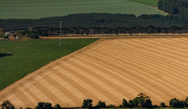 PIB do Paraná cresce acima de países da Europa no 1º semestre do ano