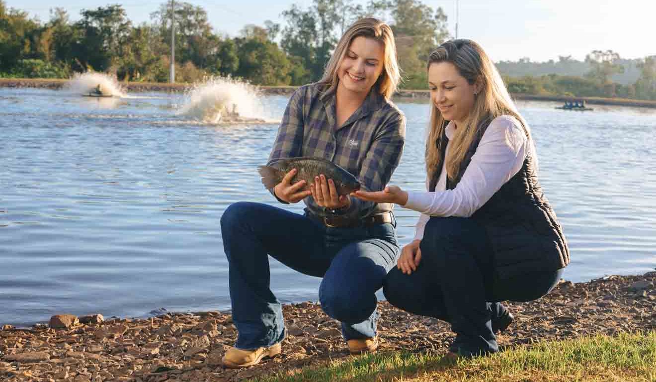 campanha do campo com orgulho