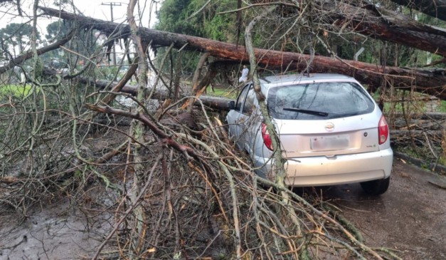 carro atingido por uma árvore durante chuva em curitiba