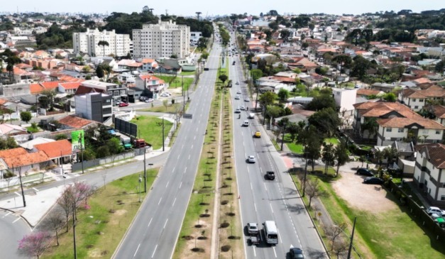 Imagem do plantio das 4 mil árvores