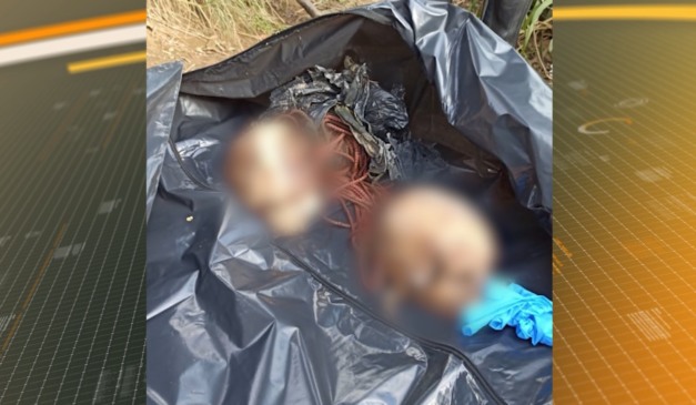 Crânios foram encontrados por pescador em São José dos Pinhais