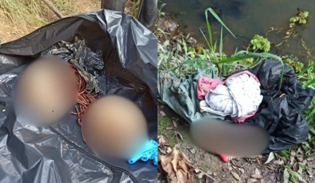 crânios encontrados em São José dos Pinhais