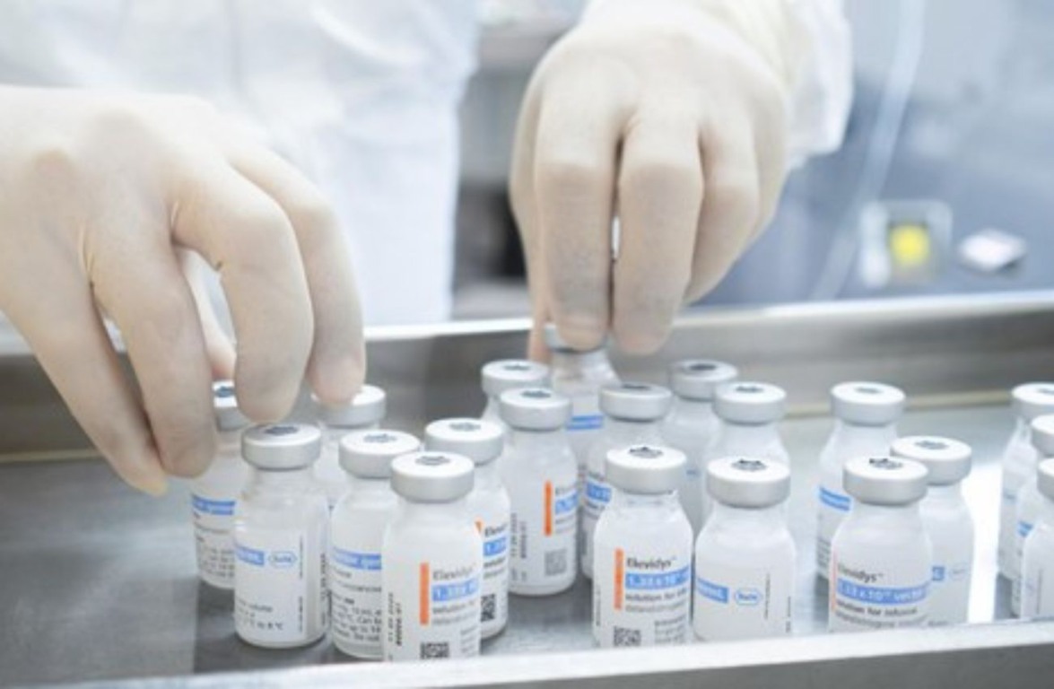 Distrofia Muscular de Duchenne: 7 de setembro e a conscientização