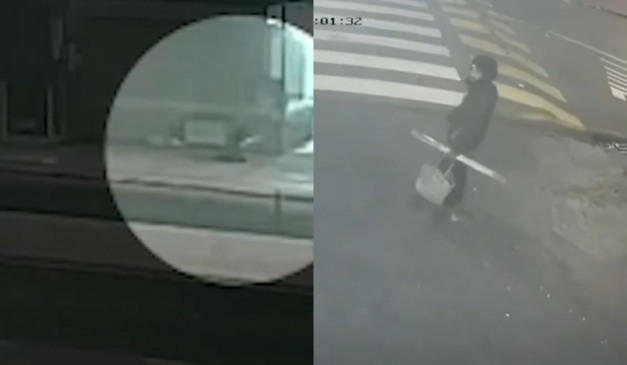 Momento em que idoso é morto a pauladas e suspeito ao lado