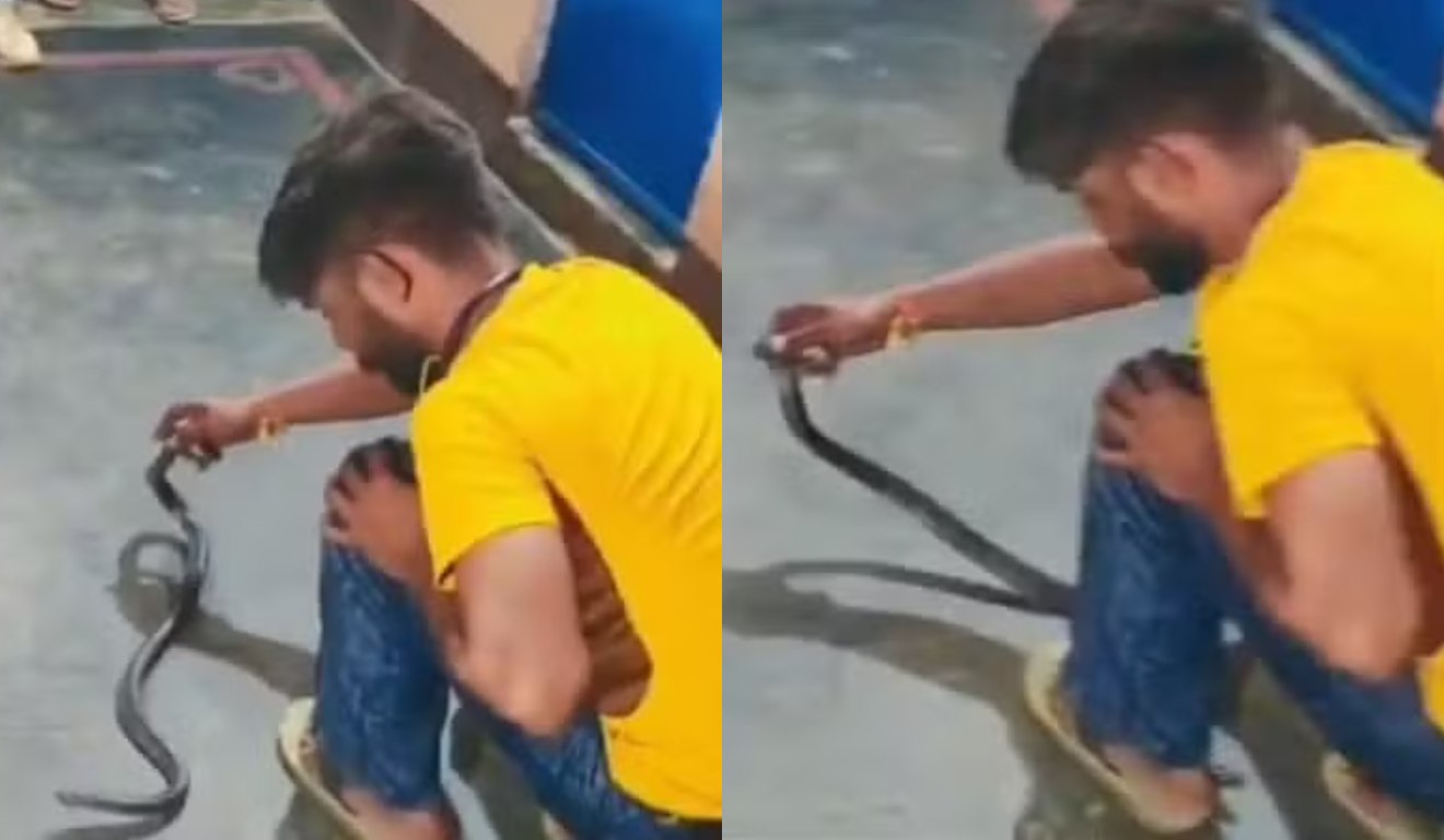 Jovem é picado por cobra venenosa