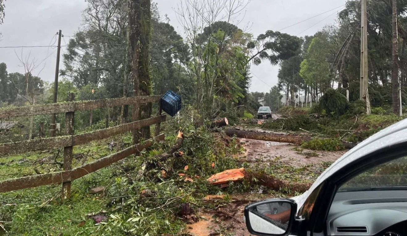 destruição causada por tornado no paraná