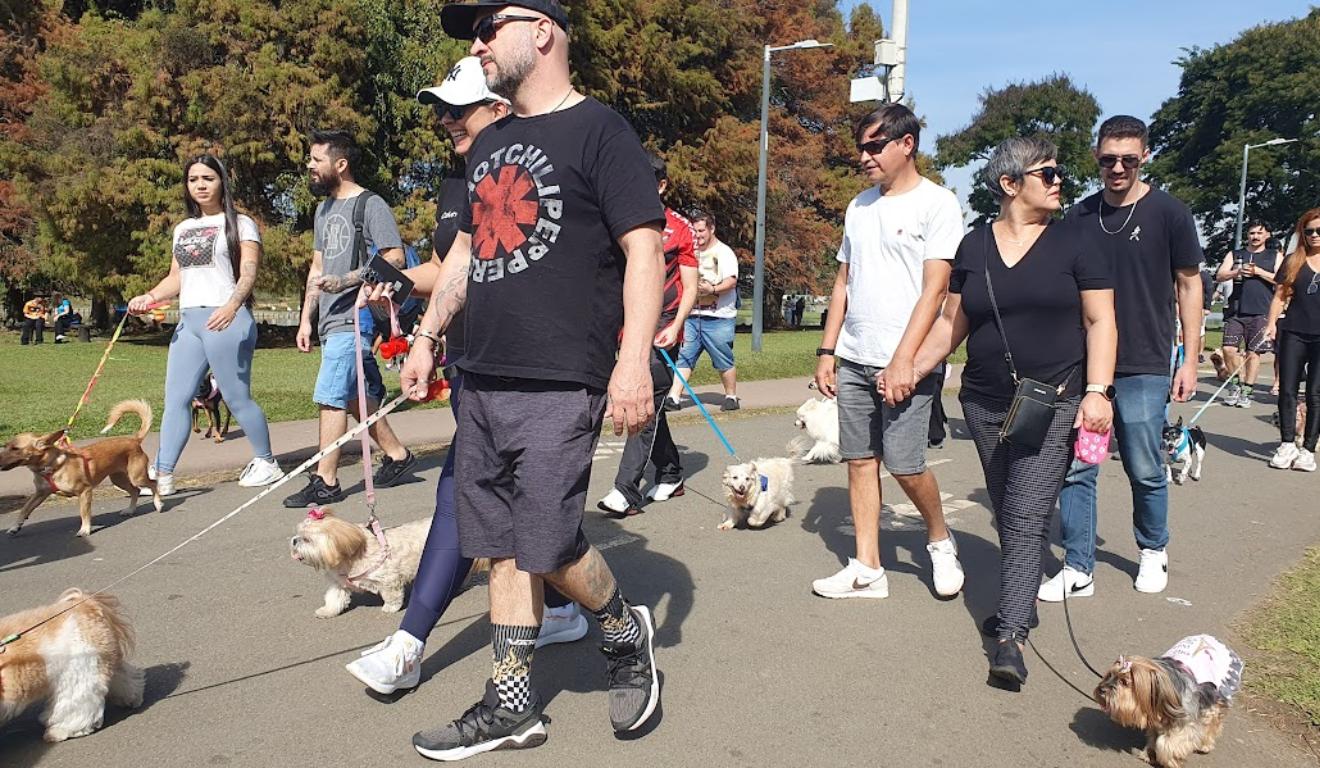 cãominhada jovem pan 