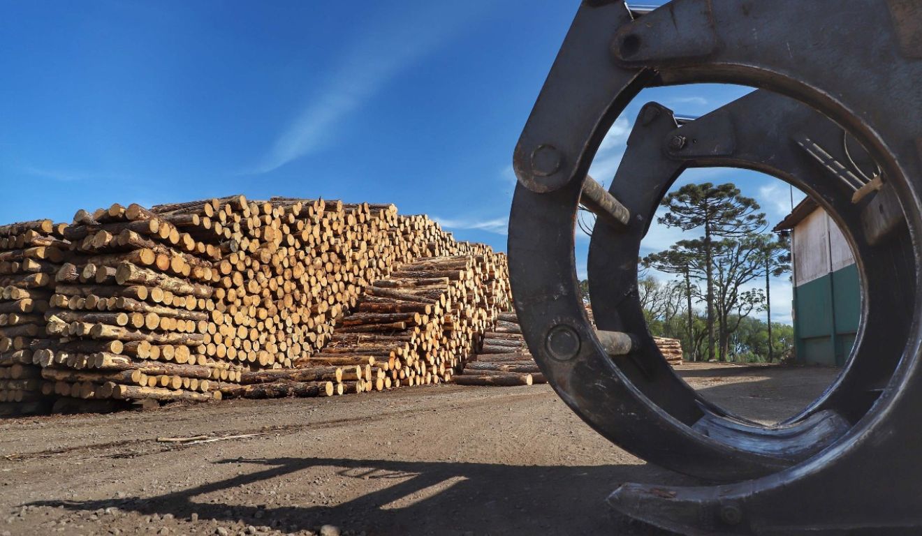 Caminhão com garra recolhe madeira em área florestal