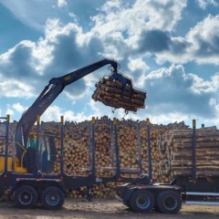 Caminhão com garra recolhe madeira em área florestal