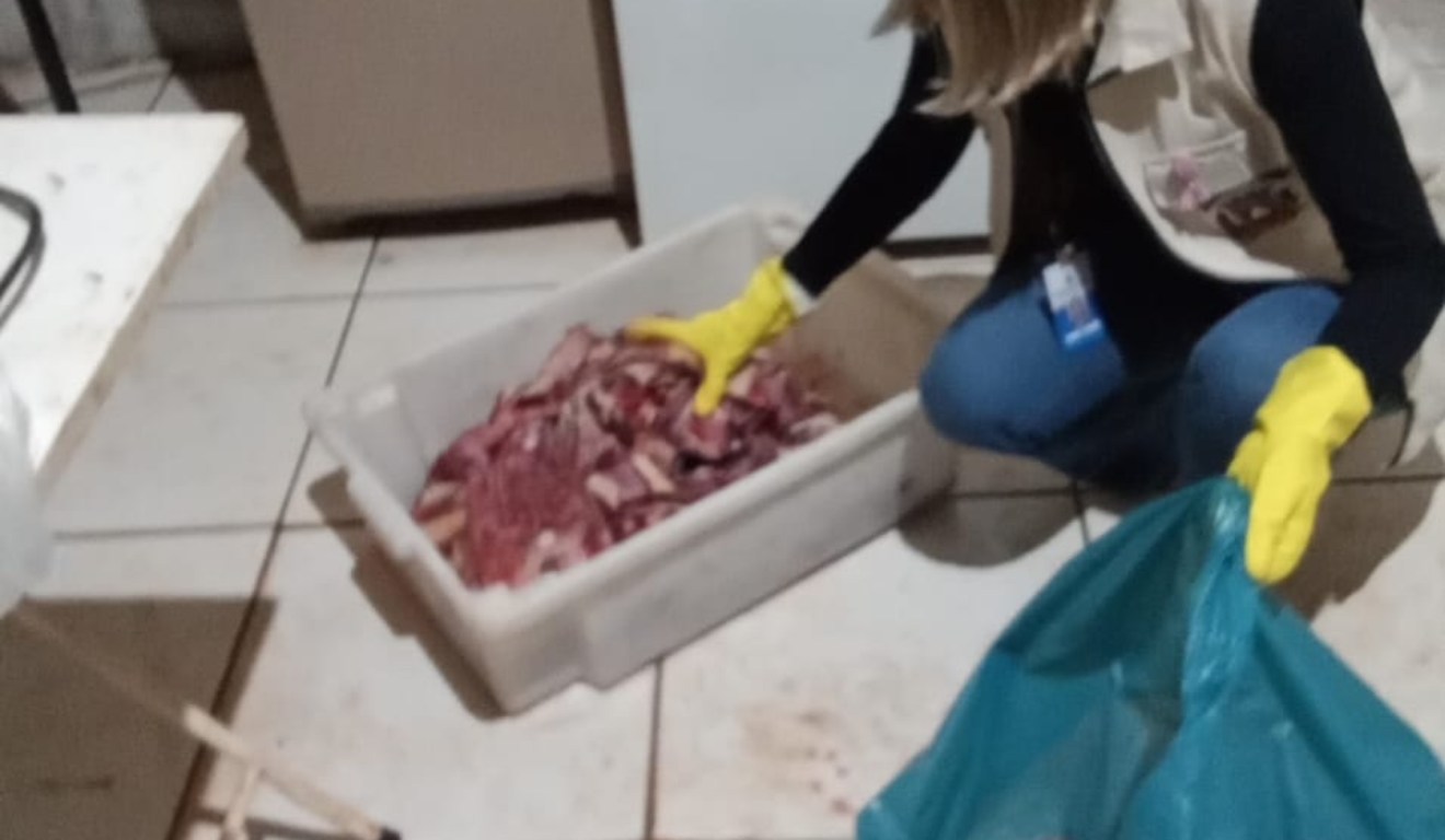 Funcionária da Vigilância Sanitária durante apreensão de carne no Paraná