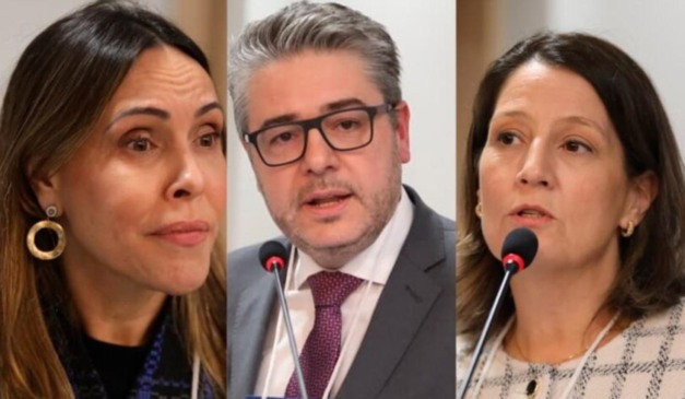 Francisco Augusto Zardo Guedes, Letícia Ferreira da Silva e Helena de Toledo Coelho