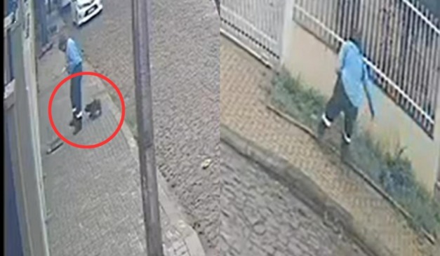 funcionário da sanepar mata cachorro