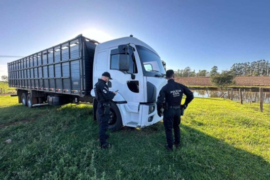 caminhão de transporte de gado apreendido pela polícia civil