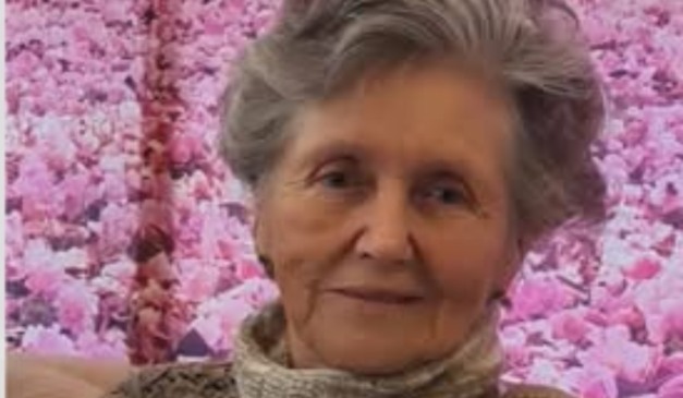 Genro empurra sogra da escada e idosa morre em Ponta Grossa