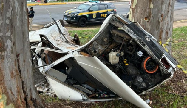 local onde o idoso bateu em árvore foi ejetado e morreu