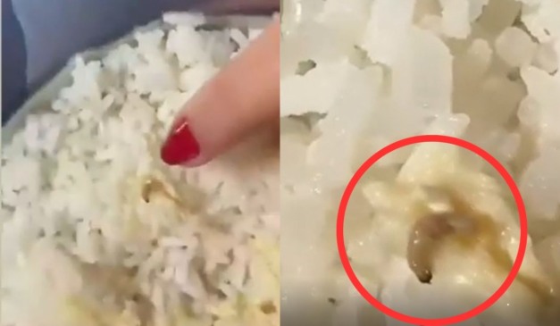 larva encontrada na merenda em Maringá