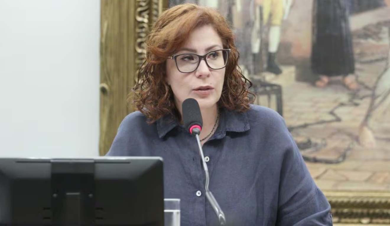 Câmara Zambelli na Câmara dos deputados