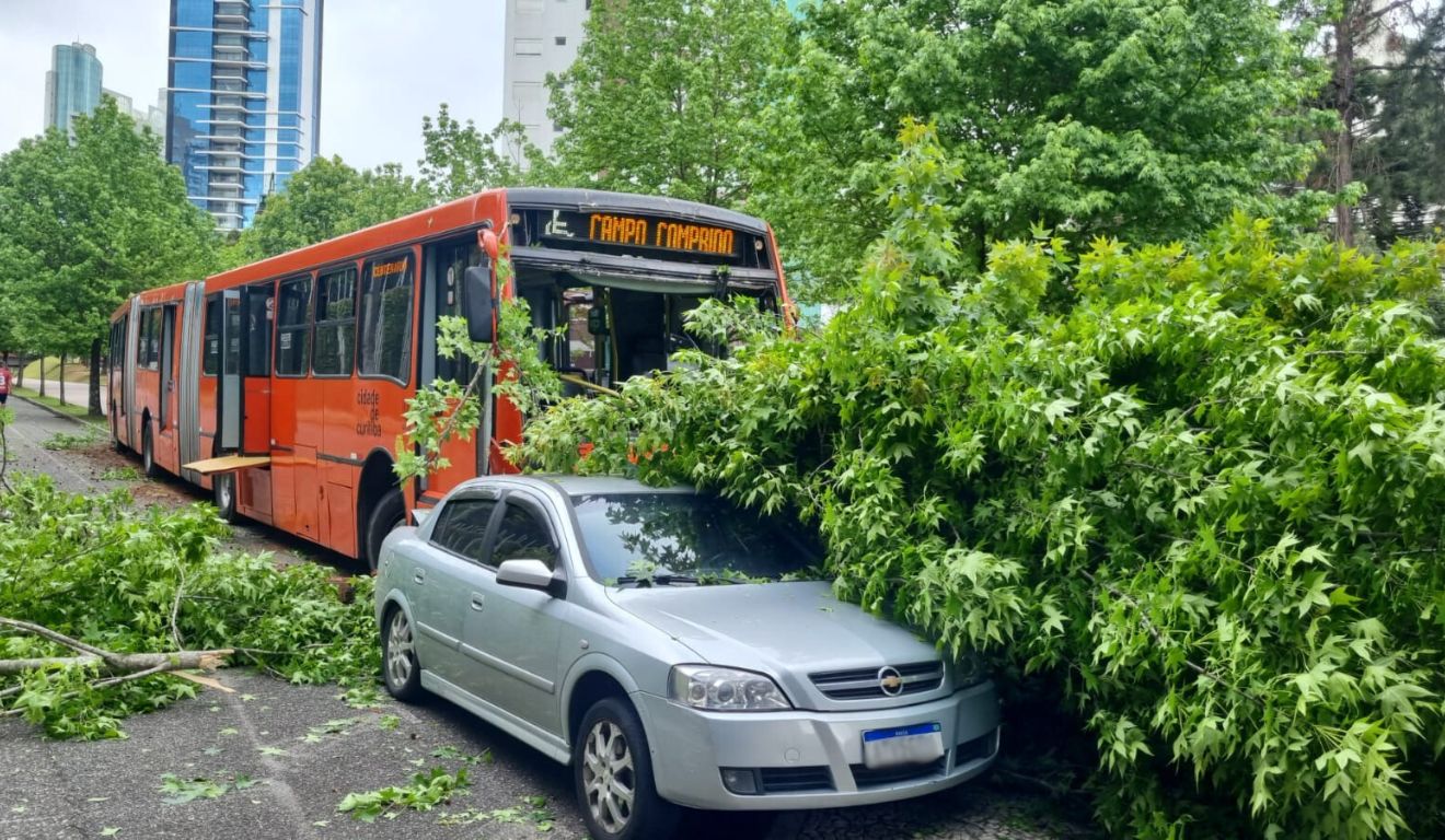 local do acidente onde o motorista do biarticulado perdeu o controle e bateu no carro e nas árvores
