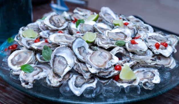 ostras de cabaraquara