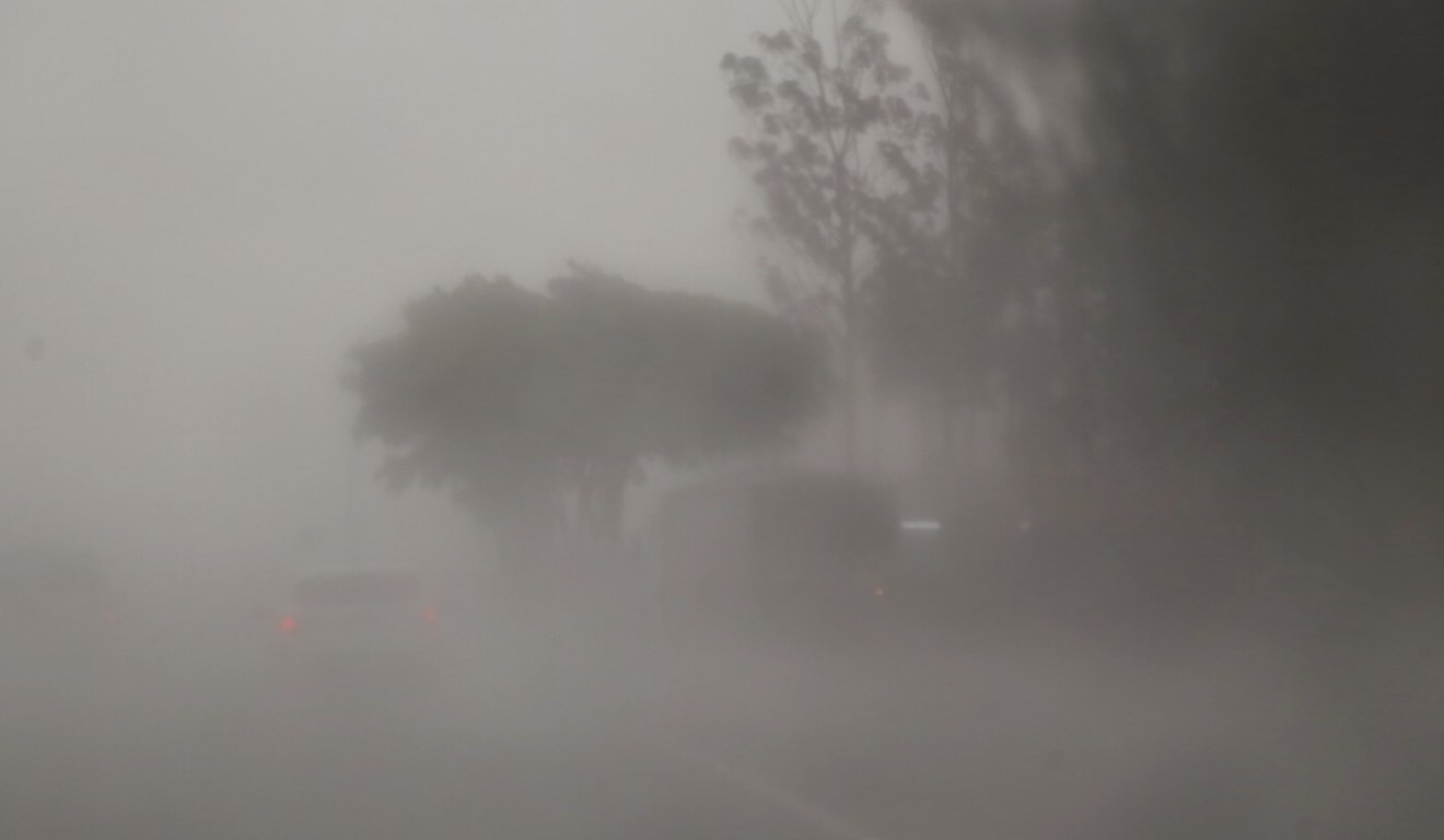 Pancadas de chuva atingindo o Paraná perto de árvore