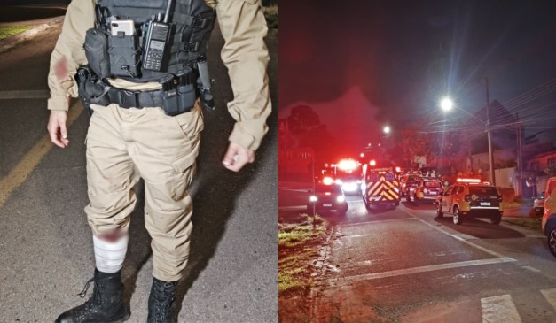 policial atacado por pitbull em curitiba