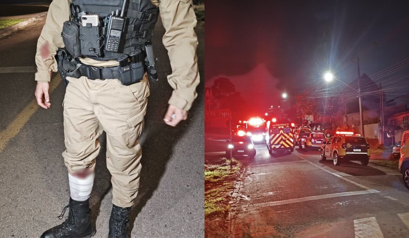 policial atacado por pitbull em curitiba
